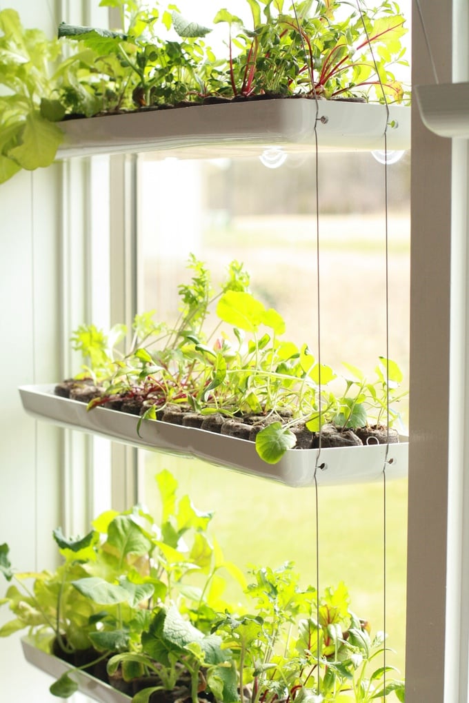 Horta vertical: soluções criativas para otimizar espaço