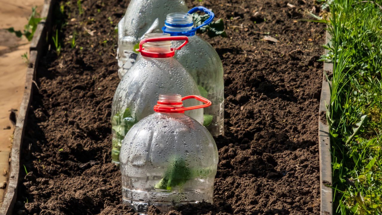 5 ideias de títulos