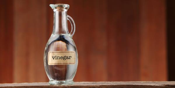 Como identificar e cuidar da mãe do vinagre