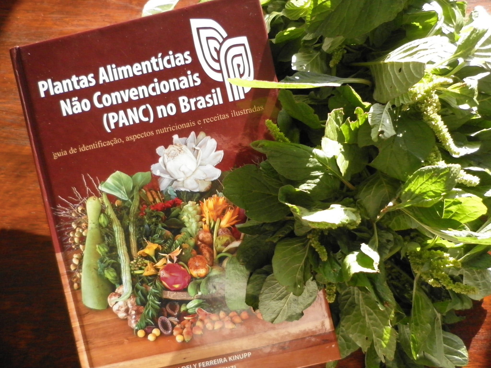 Como Evitar Plantas Tóxicas no Jardim