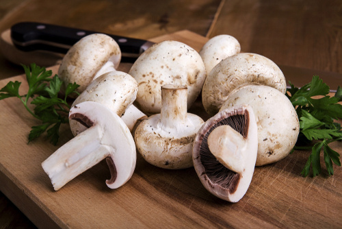 A Importância da Secagem Correta dos Cogumelos