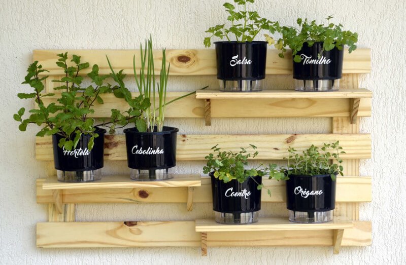 Como resolver problemas comuns em hortas de apartamento