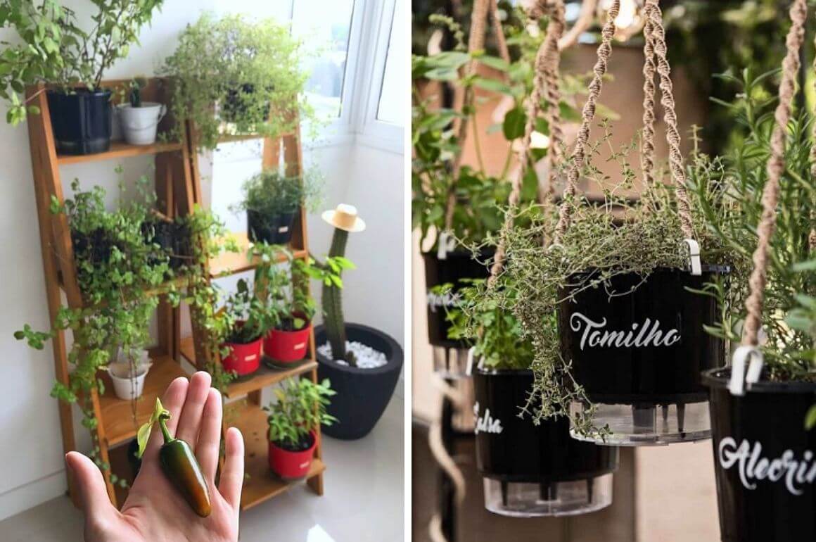 como montar uma horta em prateleiras