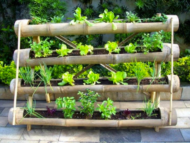 Guia completo de ervas e temperos para cultivar em casa