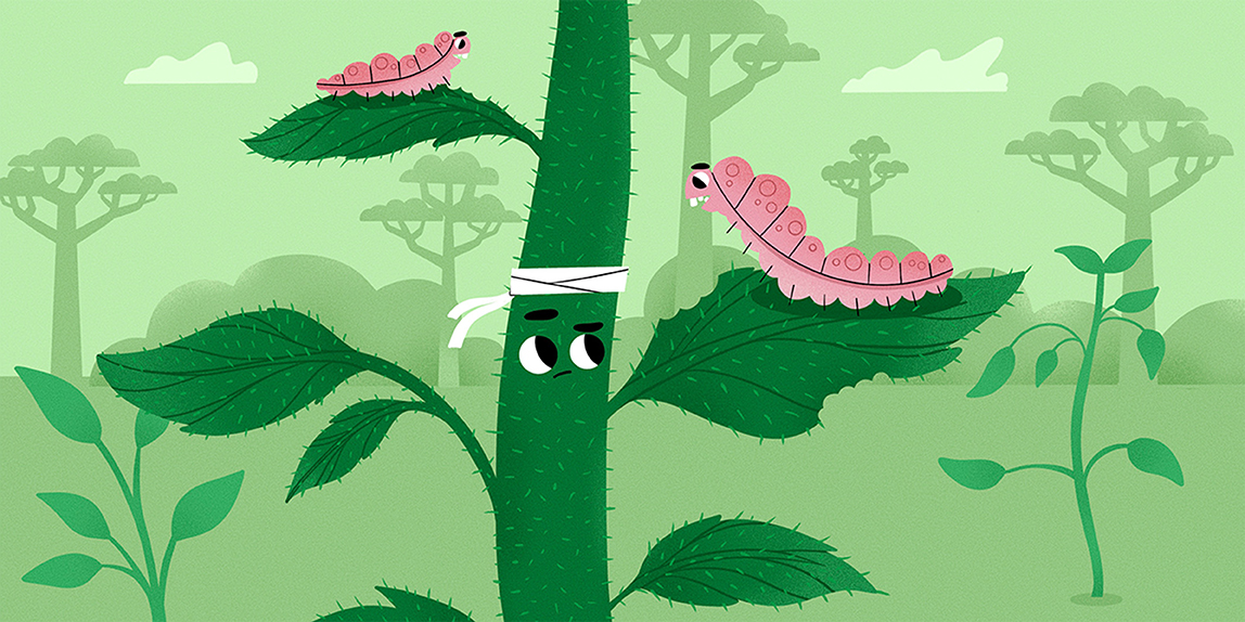 Os Perigos das Lagartas e Besouros para a Saúde das Florestas