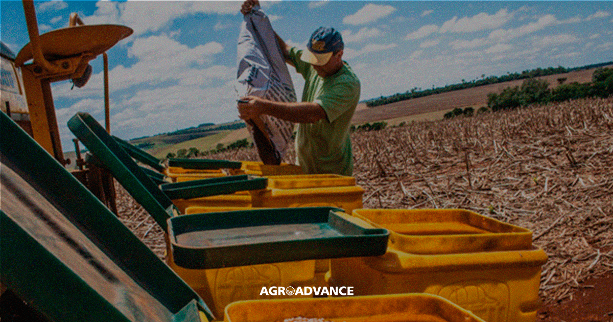 como planejar as compras de sementes