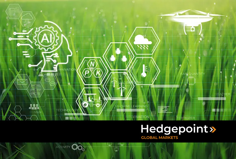 Guia Completo de Armazenamento de Sementes