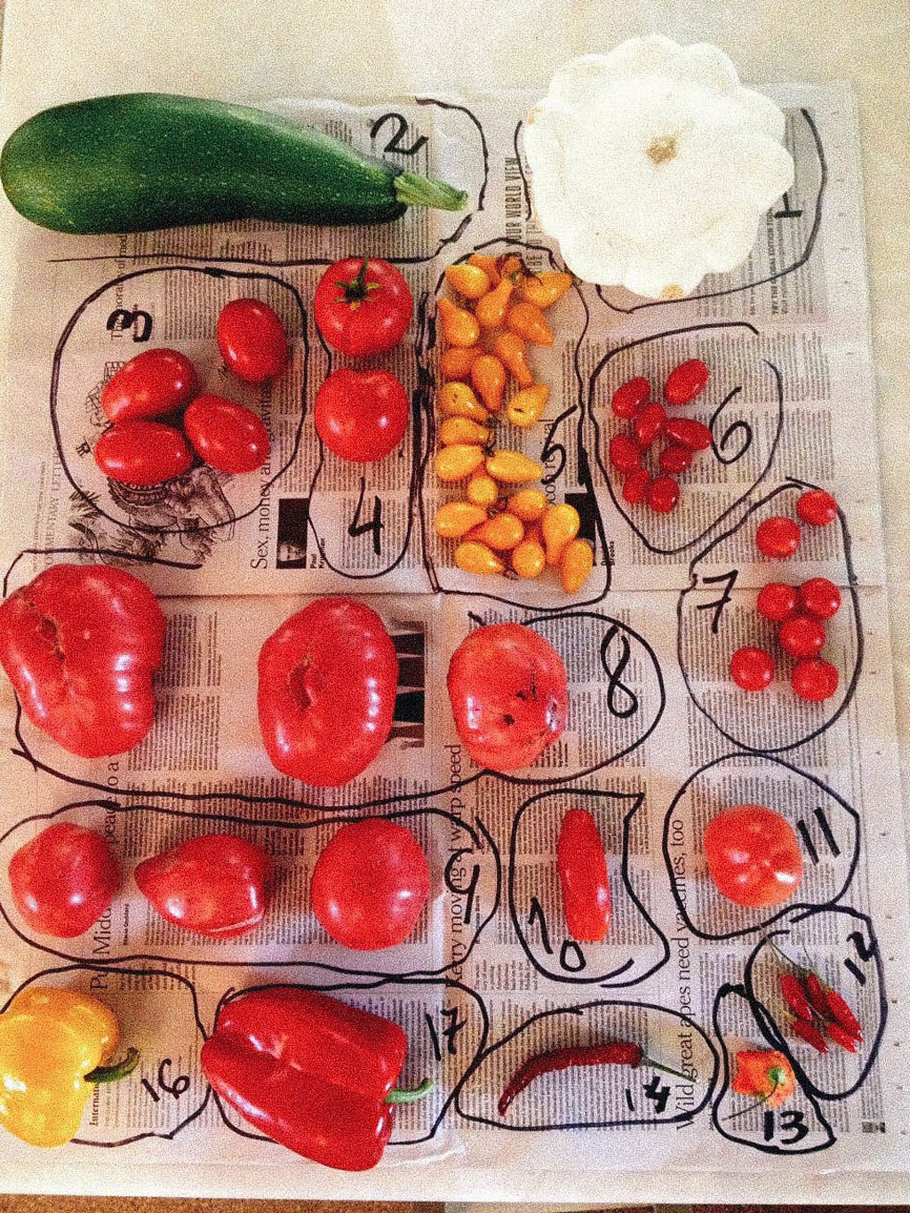 Estratégias de Negociação para Compra de Insumos Agrícolas