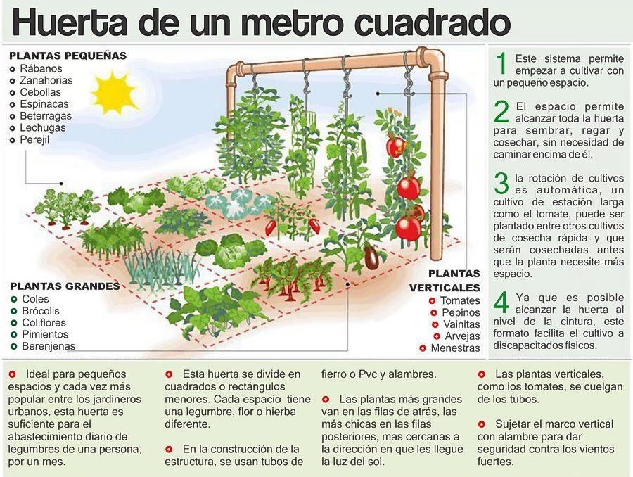 como planejar o layout da horta
