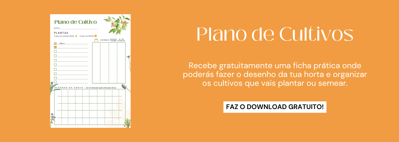 Guia Completo de Consorciação de Culturas na Horta