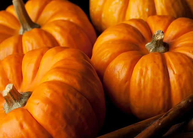 Como Identificar e Tratar Pragas Comuns na Abóbora