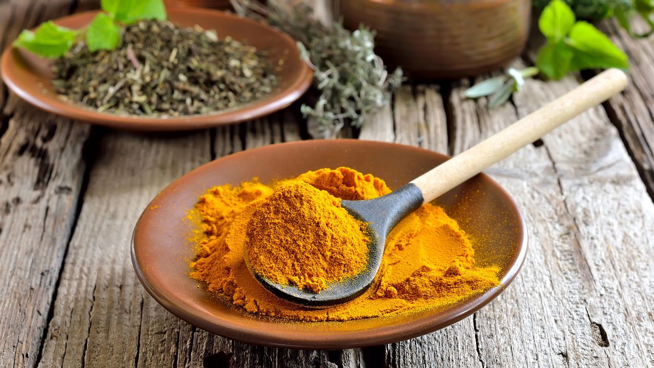 como plantar açafrão da terra (cúrcuma)