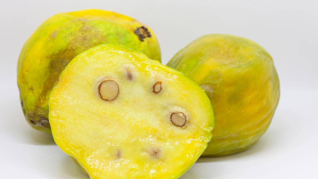 como plantar araçá boi