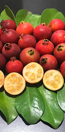 Como fazer geleia de araçá