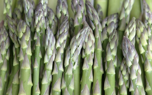 como plantar aspargos