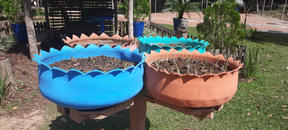 1. 'Os Melhores Adubos Orgânicos para sua Horta em Pneus'