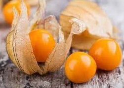 Guia Completo de Adubação para um Plantio de Physalis Saudável