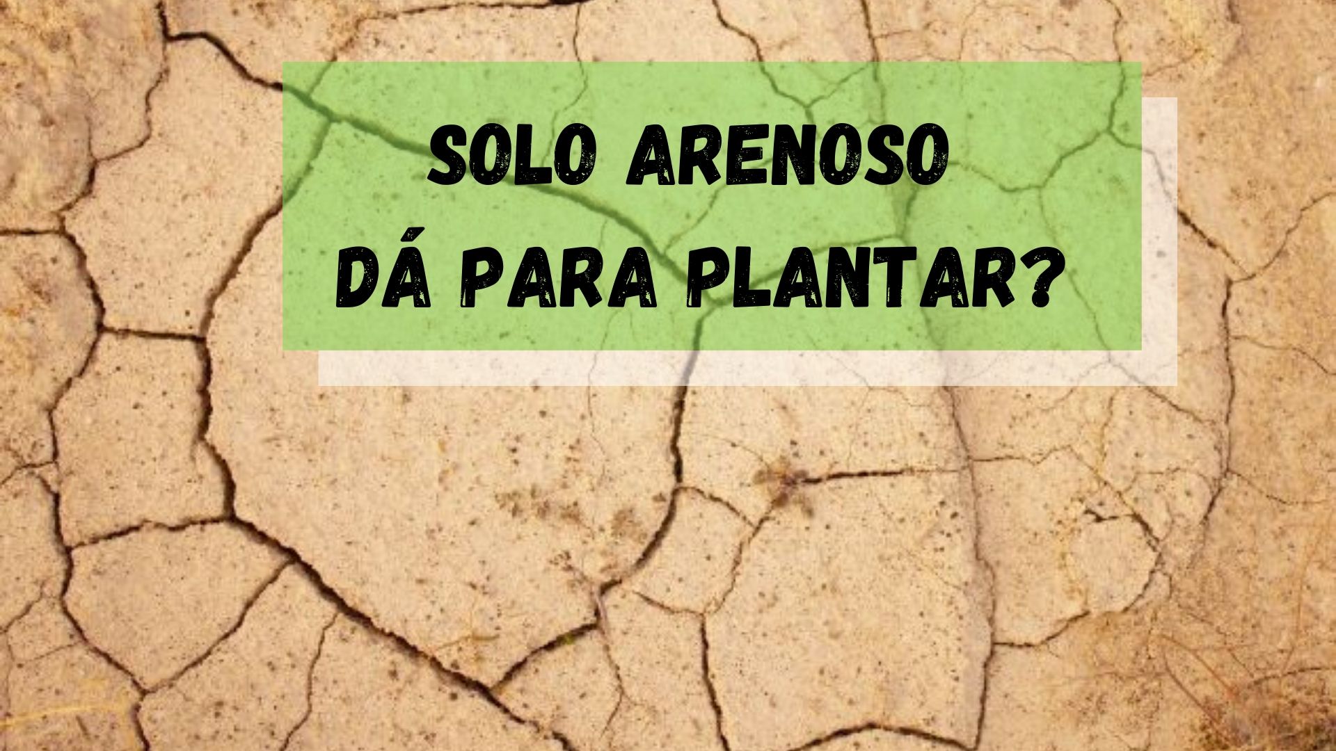 como plantar em solo arenoso
