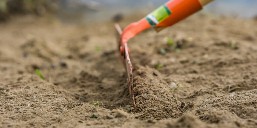 5 Melhores Adubos Orgânicos para Solo Arenoso