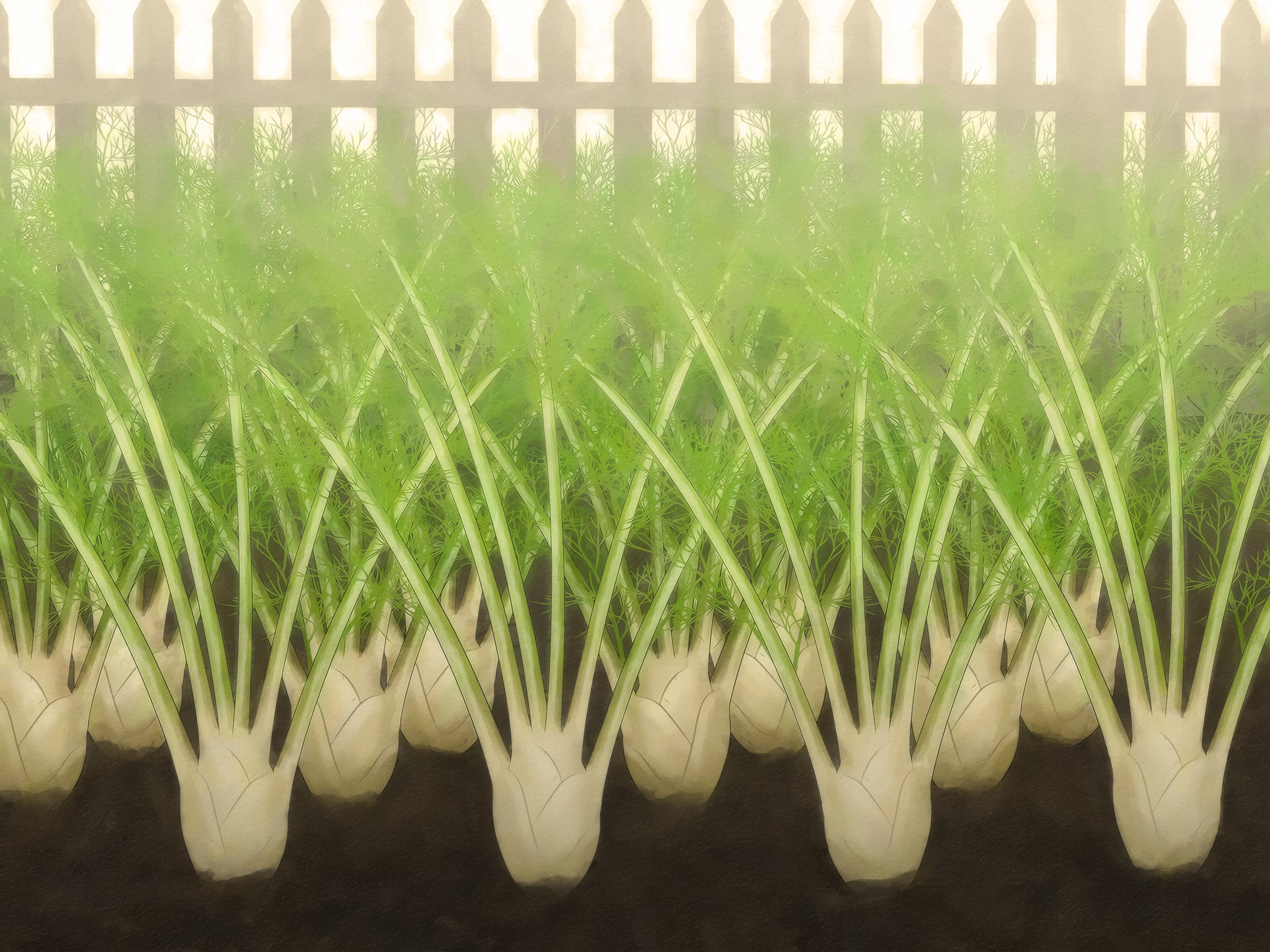 Como Usar o Funcho na Culinária: Dicas de Chefs