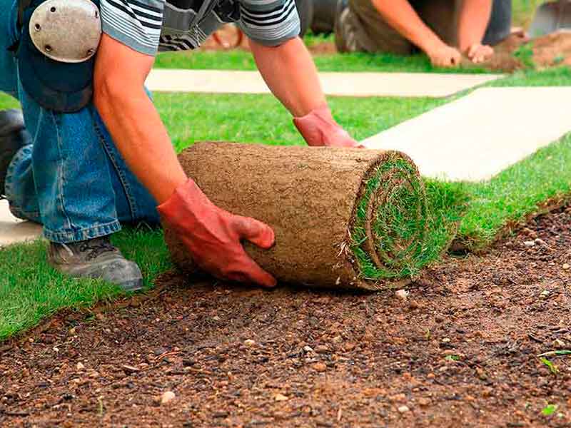 Como Preparar o Solo Perfeito para um Gramado Impecável