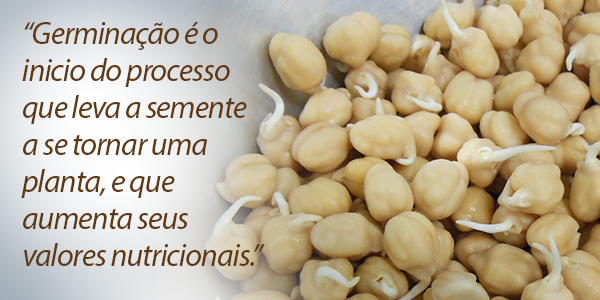 Controle de Pragas e Doenças no Cultivo de Grão de Bico