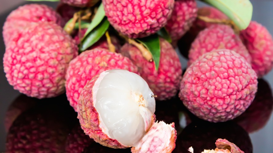 Dicas para cultivar lichia em vasos