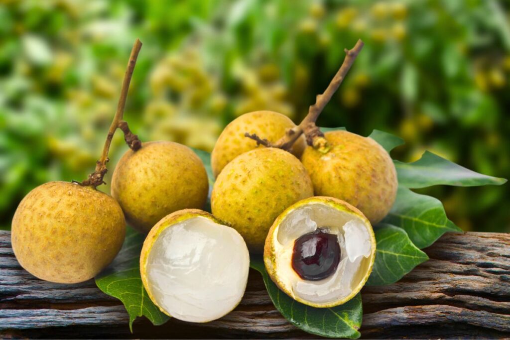 Diferenças entre longan e lichia