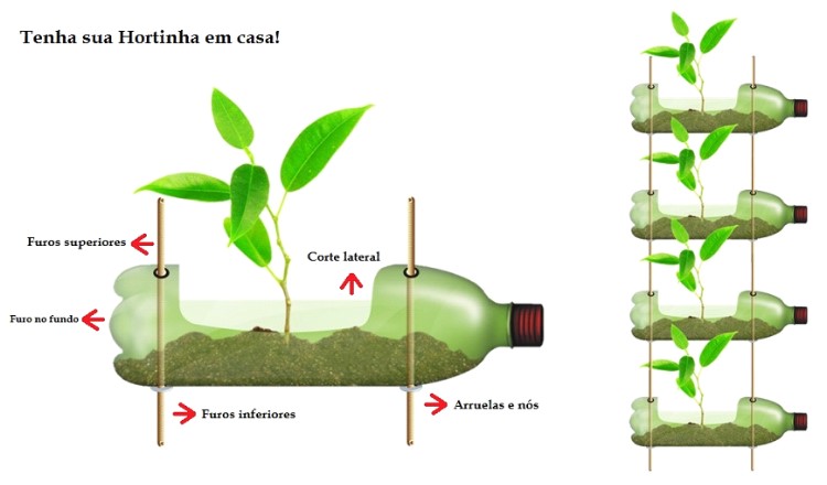 como plantar morango em garrafa pet