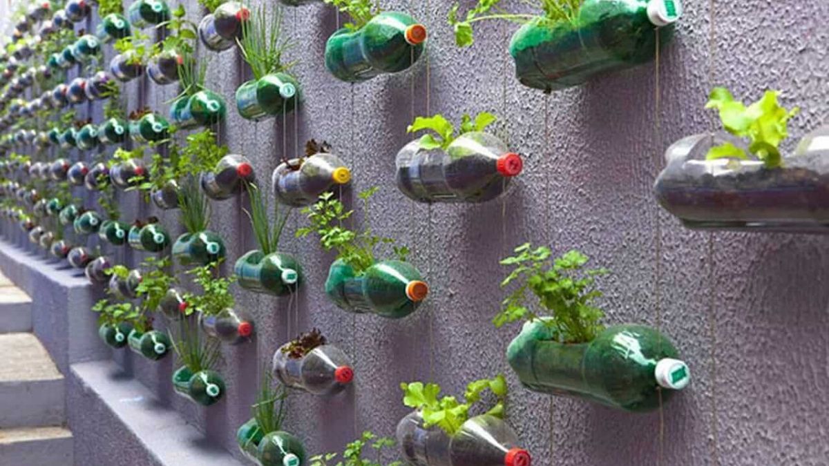 Como Combater Pragas em Horta de Garrafa PET