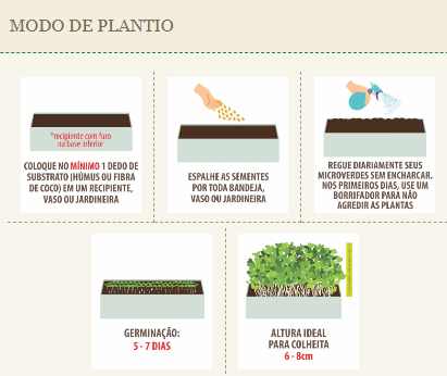 5 Dicas Essenciais para o Plantio de Mostarda em Abril