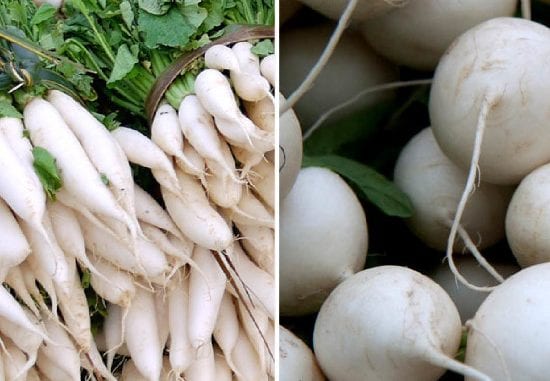 Guia Completo da Colheita do Nabo: Quando e Como Colher