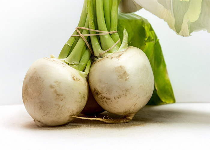 Variedades de Nabo: Qual a Melhor para o Seu Clima?