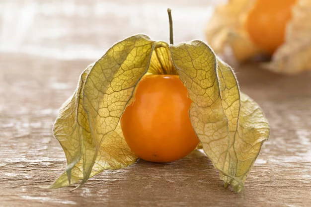 5 Benefícios da Physalis para a Saúde