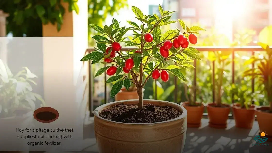 como plantar pitanga em vaso