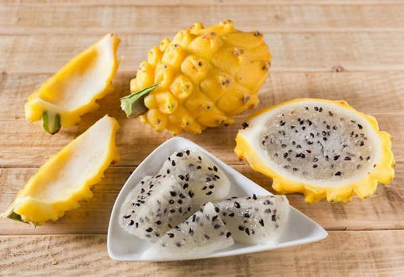 Os Segredos da Adubação com NPK 20-00-20 para Pitayas Produtivas