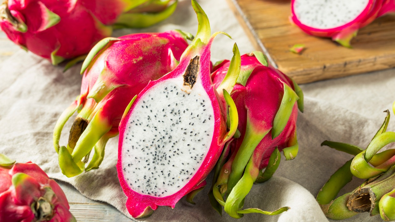 como plantar pitaya amarela