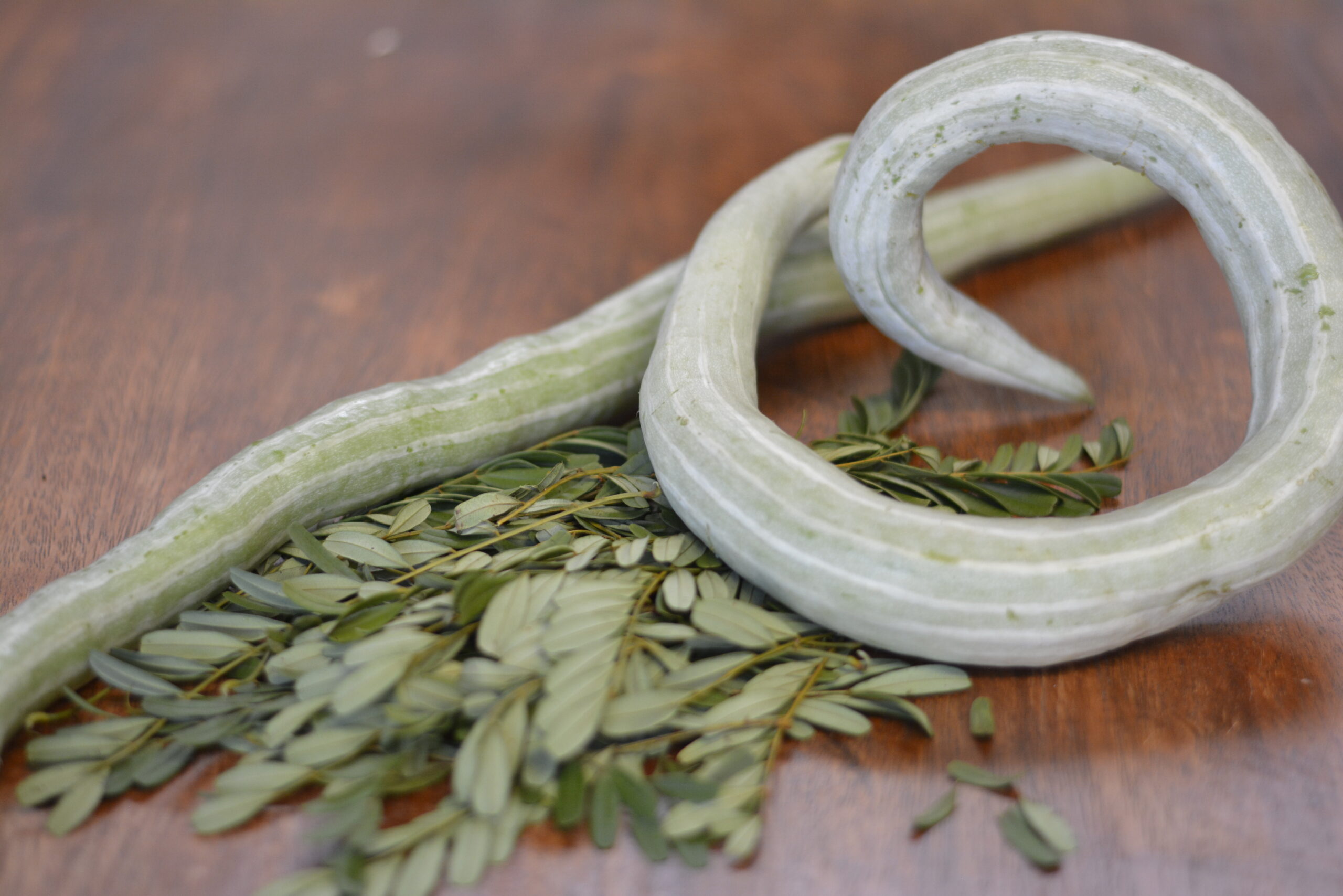 Como Identificar e Tratar Doenças Comuns no Quiabo de Metro