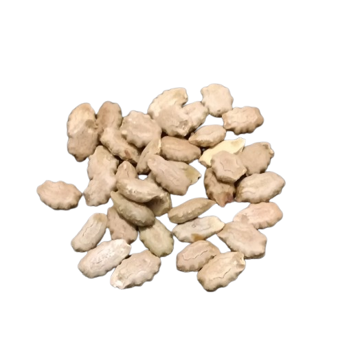 Guia Completo de Controle de Pragas para Quiabo de Metro