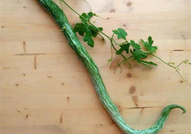 Como Identificar e Tratar Doenças Comuns no Quiabo de Metro