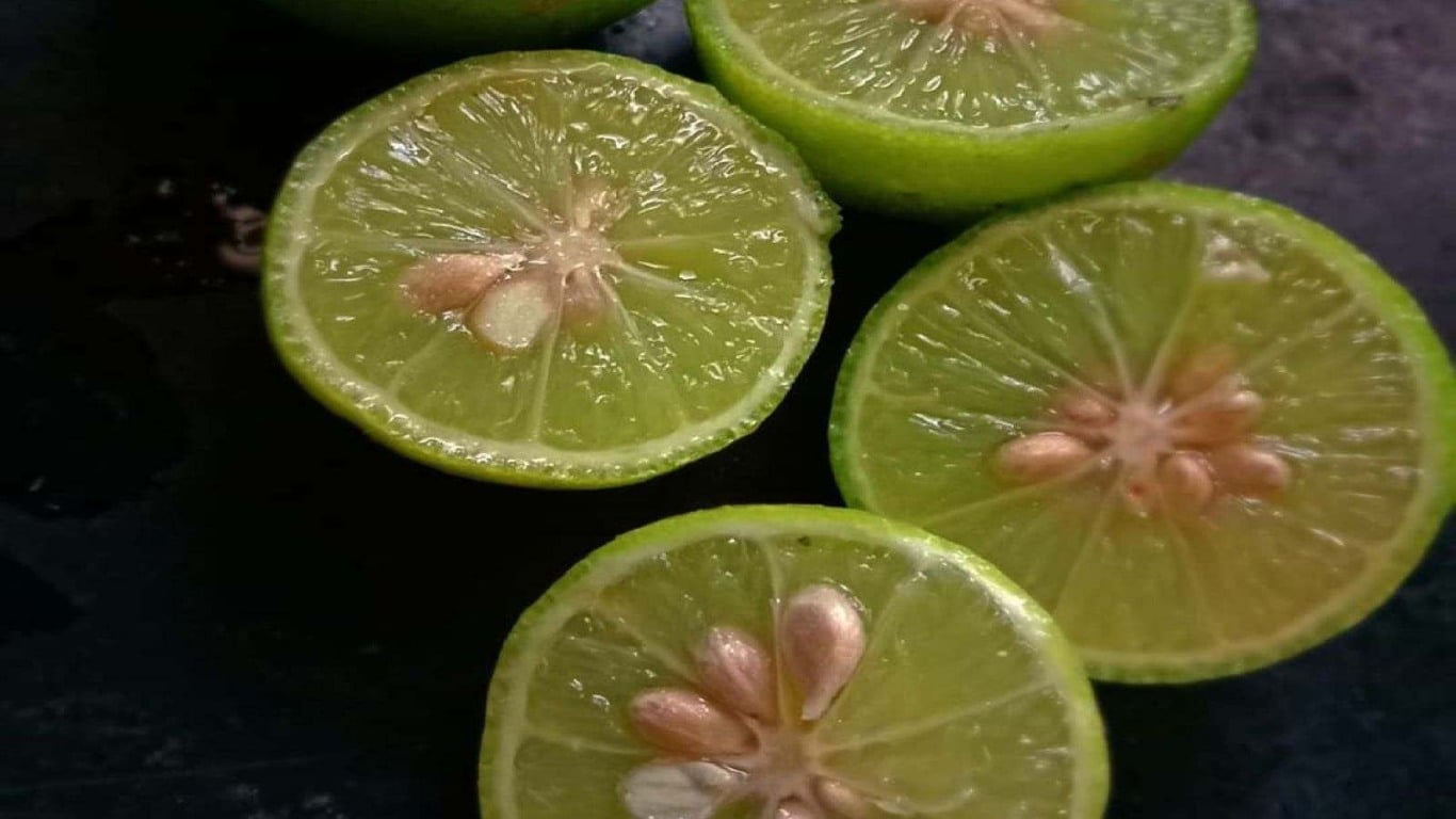 Como escolher a melhor semente de limão