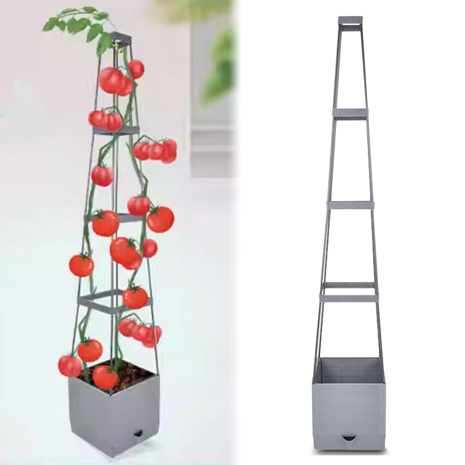 Melhores variedades de tomate para vasos