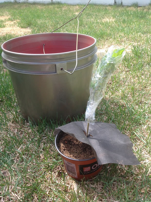 Dicas de Irrigação Eficiente para Hortas Verticais