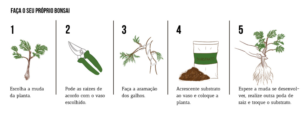 como podar raizes de arvores em vasos