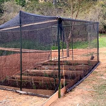 como proteger a horta do granizo