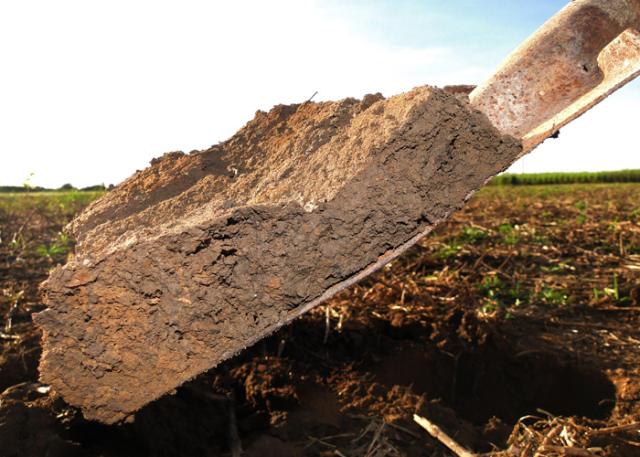 5 Ferramentas Essenciais para Aeração do Solo