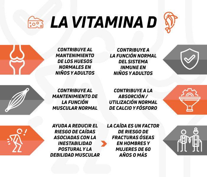 Guia Completo: Vitamina D e K2 para Máxima Absorção Óssea