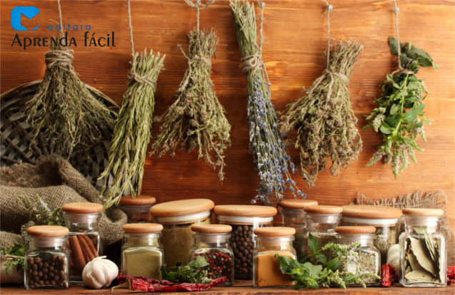 Guia completo de armazenamento de temperos para máxima durabilidade