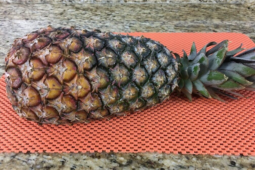 Receitas fáceis com abacaxi