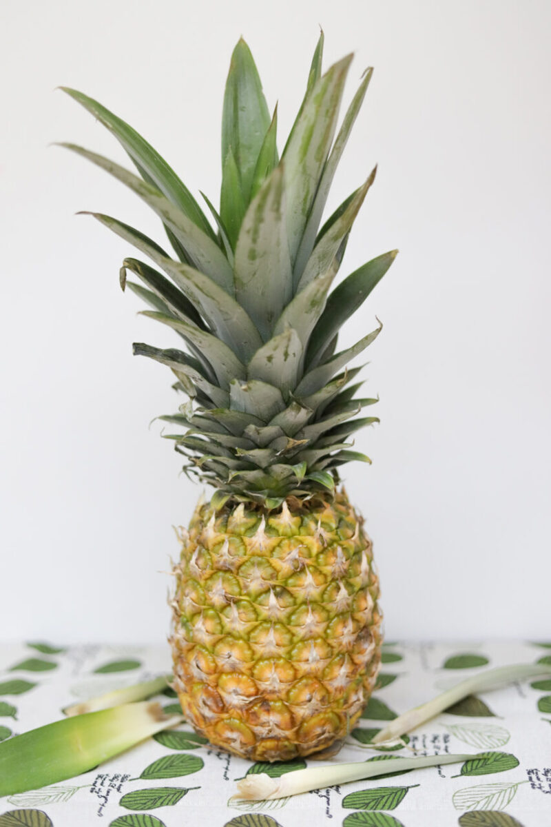 Como armazenar abacaxi para durar mais